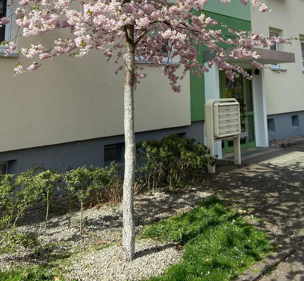 Apartamento Schoene Kleine Cottbus